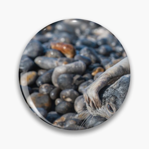 Item preview, Seal designed and sold by RobWalkley.