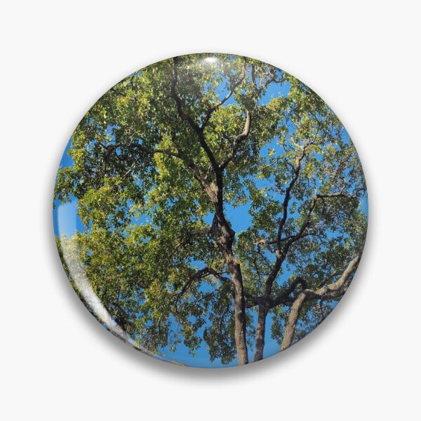 Item preview, Beautiful Tree designed and sold by gloriasd14.