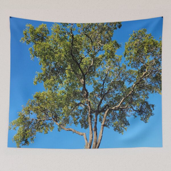 Item preview, Beautiful Tree designed and sold by gloriasd14.