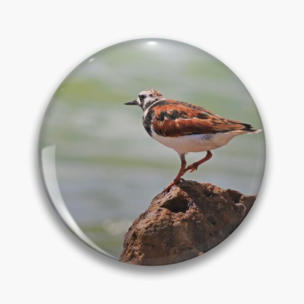 Item preview, Ruddy Turnstone designed and sold by Michiale.