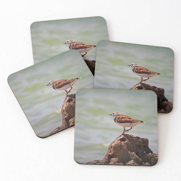 Item preview, Ruddy Turnstone designed and sold by Michiale.