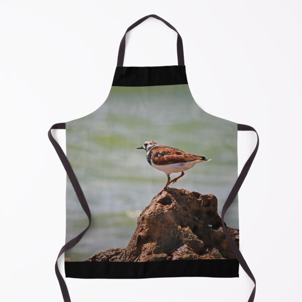 Item preview, Ruddy Turnstone designed and sold by Michiale.