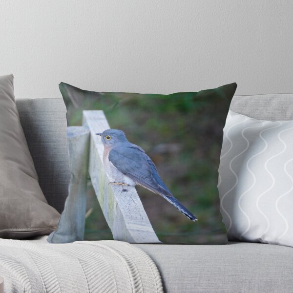 Item preview, CUCKOO ~ Fan-tailed Cuckoo FDSZ6UTZ by David Irwin designed and sold by tasmanianartist.