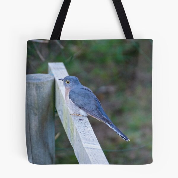 Item preview, CUCKOO ~ Fan-tailed Cuckoo FDSZ6UTZ by David Irwin designed and sold by tasmanianartist.
