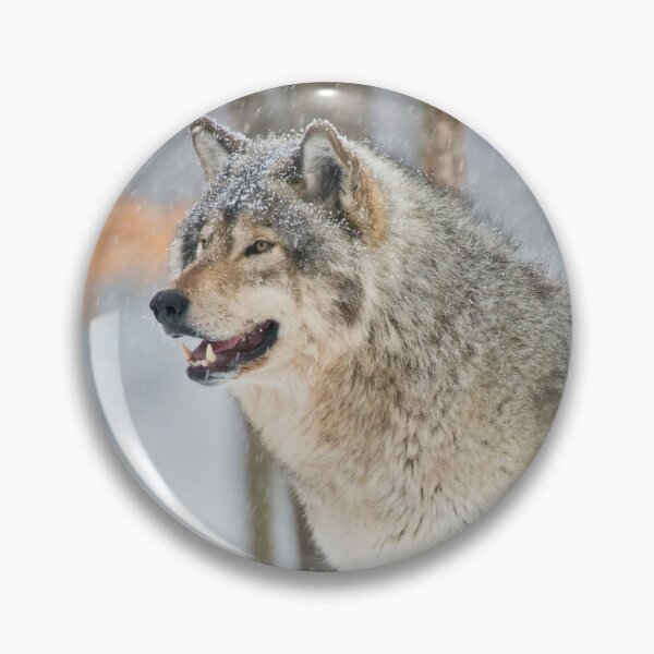 Item preview, Gray Wolf designed and sold by Michael Cummings.