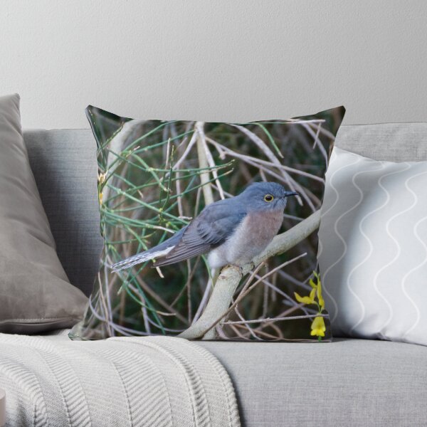 CUCKOO ~ Fan-tailed Cuckoo Q9LDHQBS by David Irwin Throw Pillow