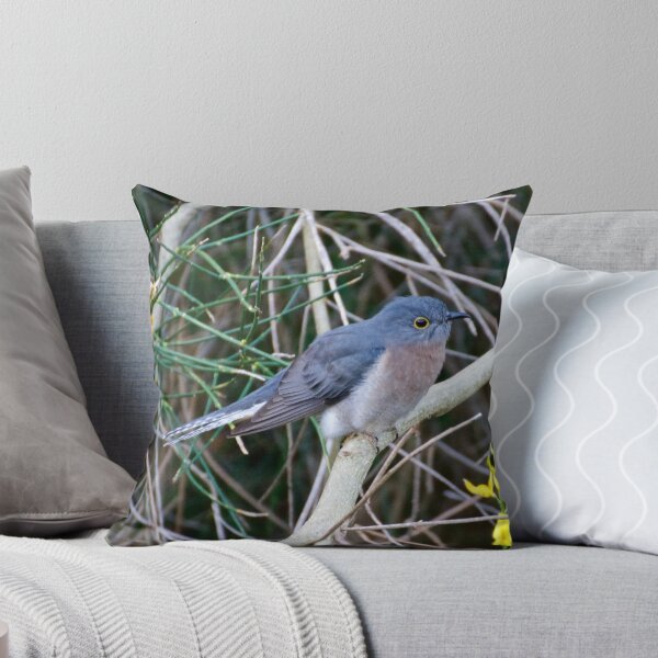 Item preview, CUCKOO ~ Fan-tailed Cuckoo Q9LDHQBS by David Irwin designed and sold by tasmanianartist.