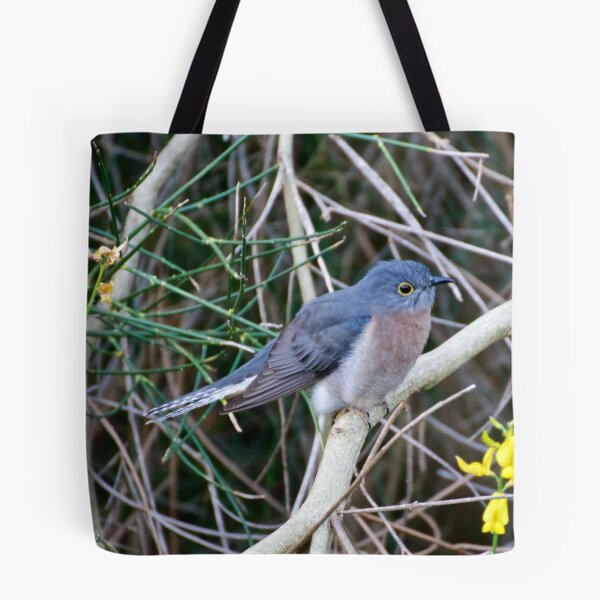 Item preview, CUCKOO ~ Fan-tailed Cuckoo Q9LDHQBS by David Irwin designed and sold by tasmanianartist.
