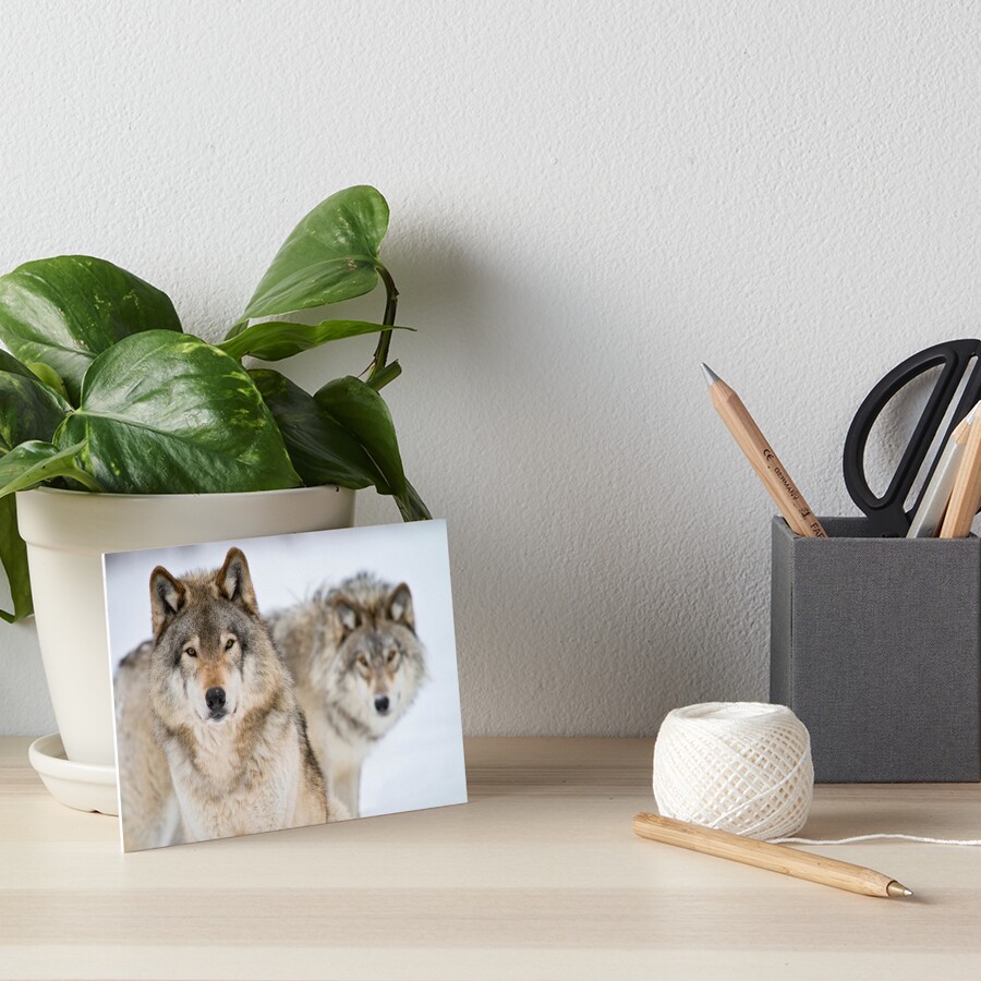 Item preview, Art Board Print designed and sold by jaydee1400.