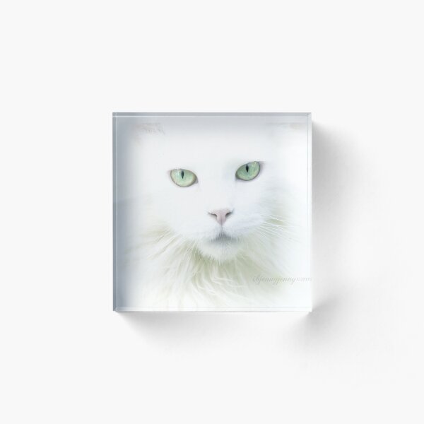 It is in their eyes.... Acrylic Block