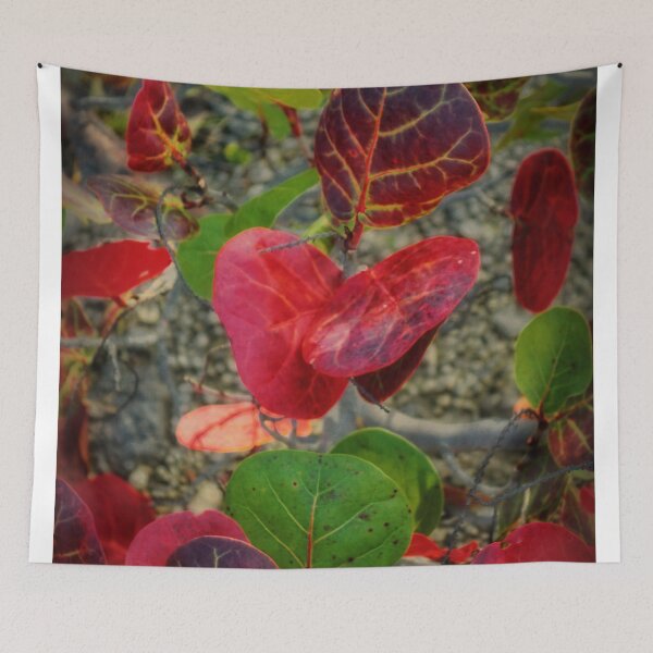 Item preview, Artfully Scattered Sea Grape Leaves  designed and sold by BritishYank.