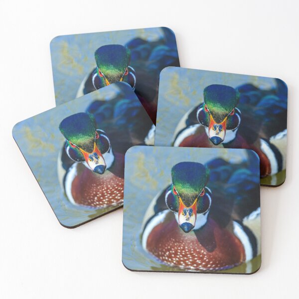 Item preview, Drake Carolina Wood Duck designed and sold by Dalyndigital Photography.