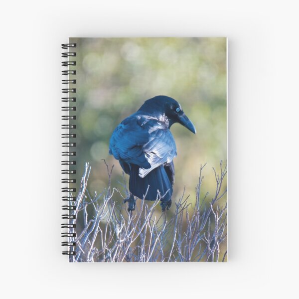 RAVEN ~ Forest Raven UYRFXSQZ by David Irwin ~ WO Spiral Notebook