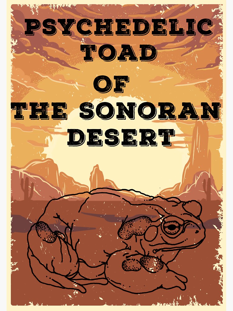 psychedelic toad of the sonoran desert shirt