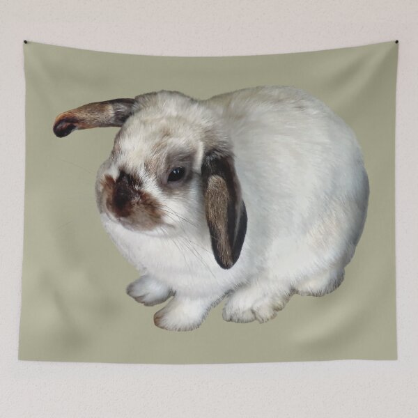Item preview, Lop-Eared Bunny designed and sold by Susan Savad.