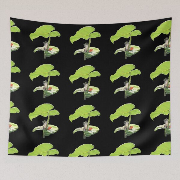 Item preview, New Dawn Frog pattern black background designed and sold by IslesArt.