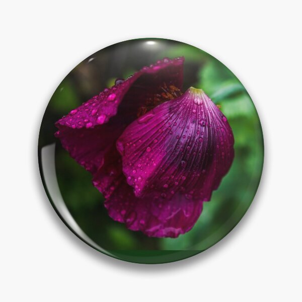 Item preview, Clinging On designed and sold by Alisonchambers2.