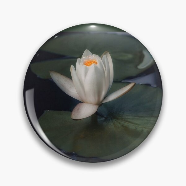 Item preview, Water lily  designed and sold by Alisonchambers2.