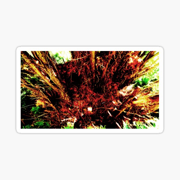 Item preview, Frenzied Contemplation, Abstract Nature Photography by Courtney Hatcher designed and sold by cghatcherart.
