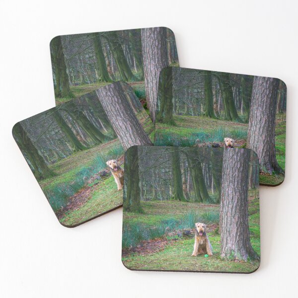 Item preview, Play With Me designed and sold by Alisonchambers2.