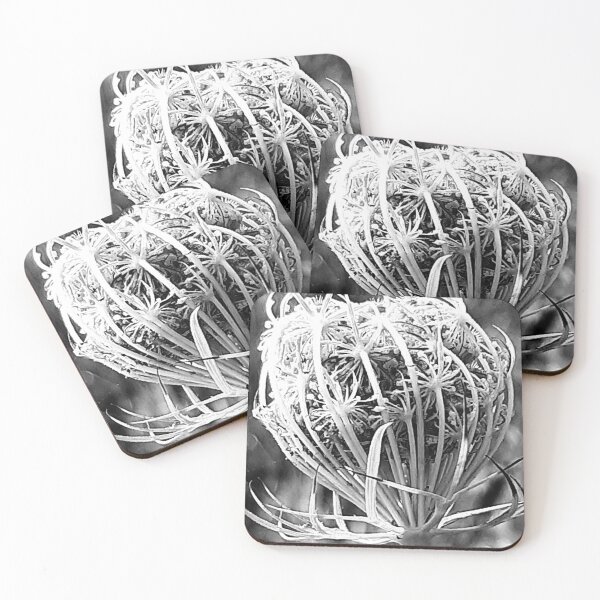 Item preview, Seed heads designed and sold by Emma  Amies.