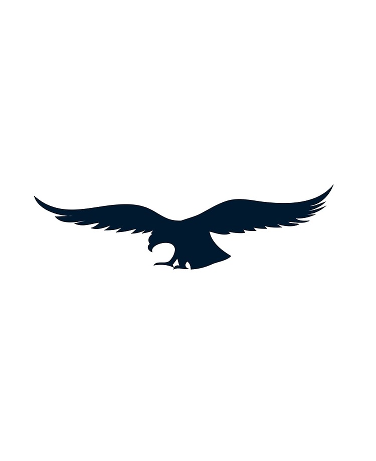 Funda y vinilo para iPad «Silueta de águila voladora» de huntsusan |  Redbubble