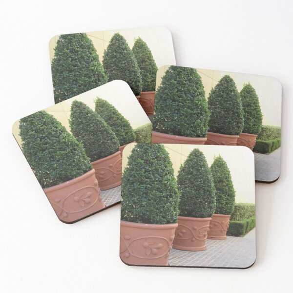 Item preview, Outdoor Garden photography with Pine Landscaping Scenery designed and sold by Archer25.