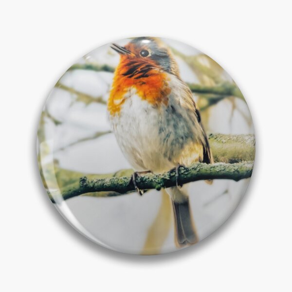 Item preview, Soft fluffy robin designed and sold by Alisonchambers2.