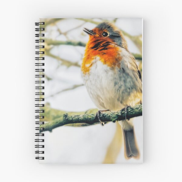 Item preview, Soft fluffy robin designed and sold by Alisonchambers2.
