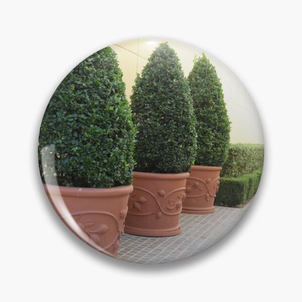 Item preview, Outdoor Garden photography with Pine Landscaping Scenery designed and sold by Archer25.