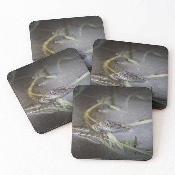 Item preview,  peeping over the reeds designed and sold by tigerr.