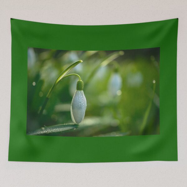 Item preview, The Humble Snowdrop designed and sold by Alisonchambers2.