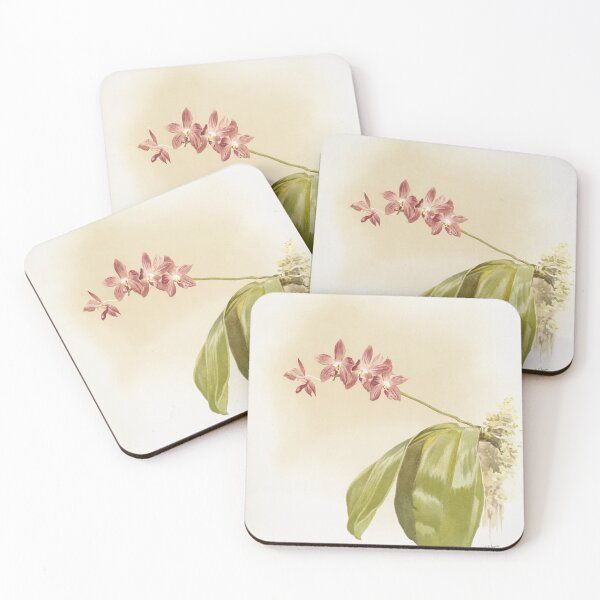 Item preview, Reichenbachia: Orchids Illustrated and Described designed and sold by EsotericBotanic.