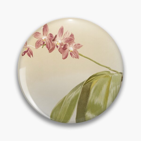 Item preview, Reichenbachia: Orchids Illustrated and Described designed and sold by EsotericBotanic.