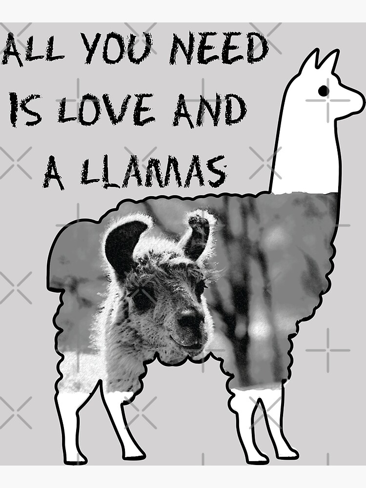 Discover All you need is Love and a Llamas Premium Matte Vertical Poster