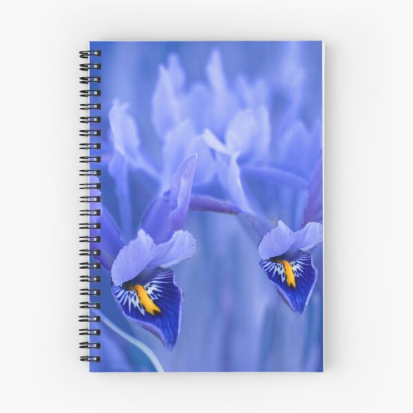 Item preview, Blue for You designed and sold by Alisonchambers2.