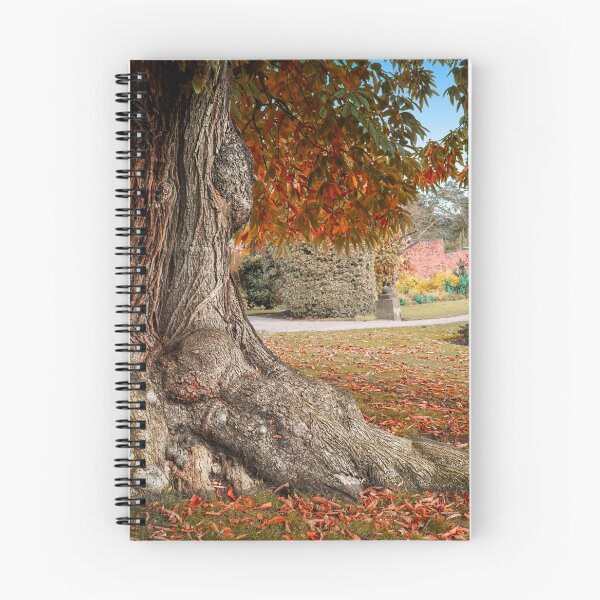 Item preview, The Old Chestnut Tree designed and sold by Alisonchambers2.