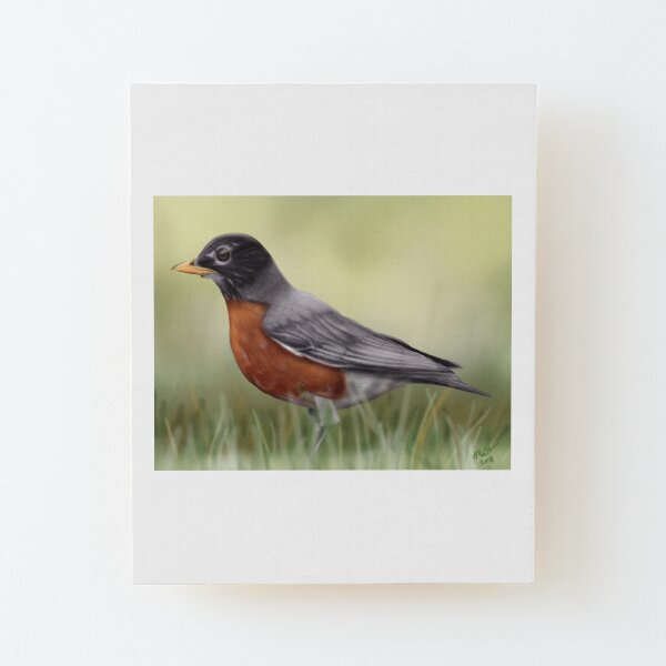 American Robin Wood Mounted Print