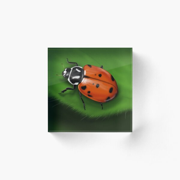 Convergent Lady Beetle Acrylic Block
