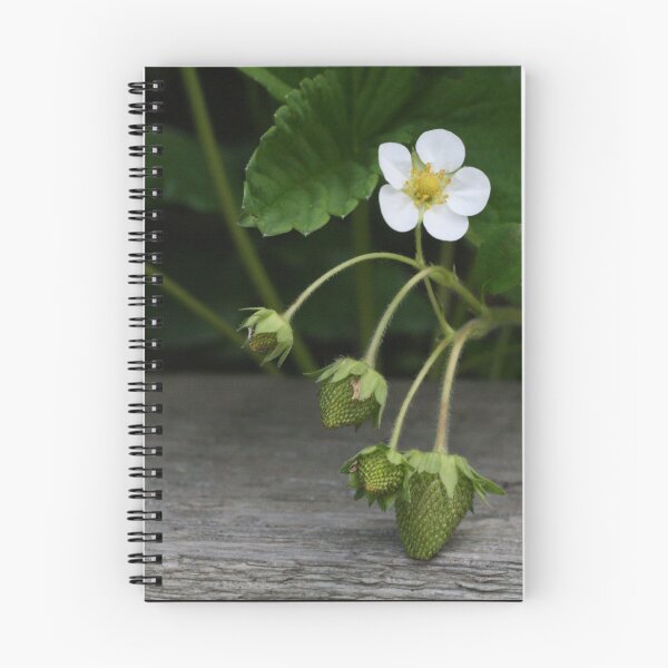 Item preview, Hidden berry designed and sold by PoetInADaydream.