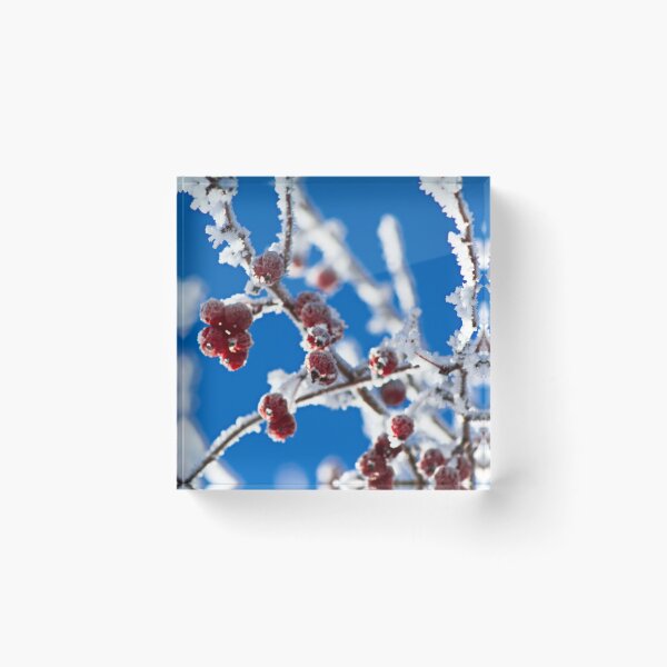 Item preview, Frozen Crabapples  in the Frost designed and sold by CharWilcox.