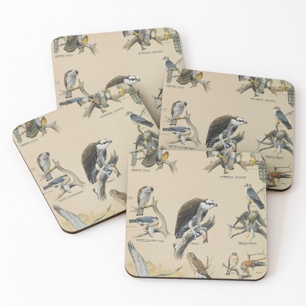Item preview, Members of the Hawk Family - Louis Agassiz Fuertes - 1920 designed and sold by CJET.