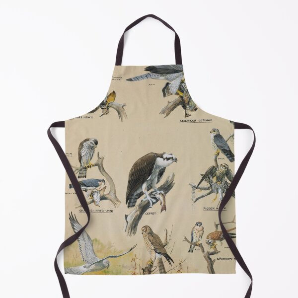 Item preview, Members of the Hawk Family - Louis Agassiz Fuertes - 1920 designed and sold by CJET.