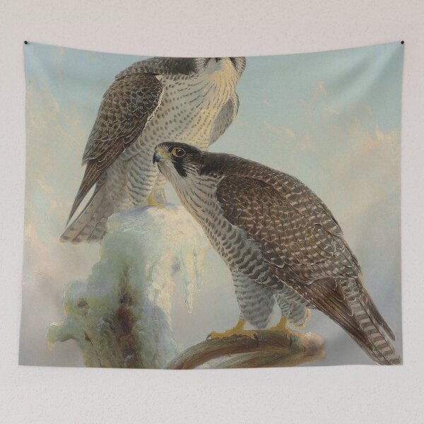Item preview, Norwegian Gyrfalcon - Joseph Wolf - 1866 designed and sold by CJET.