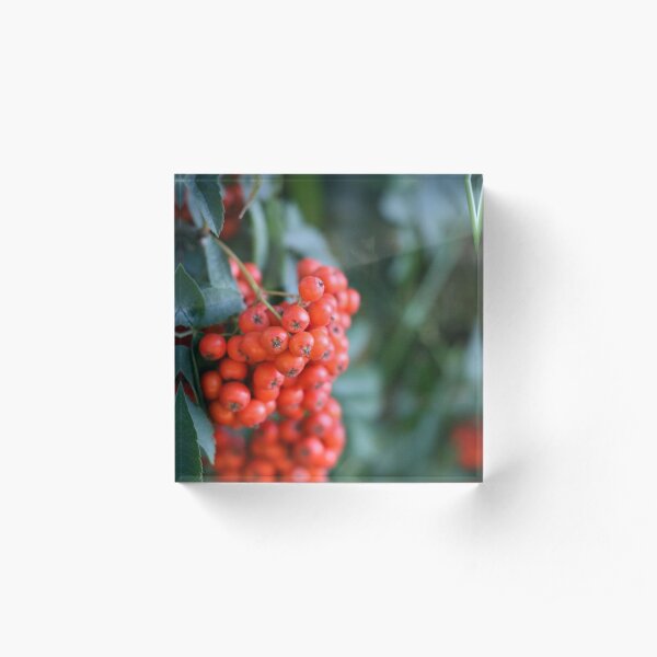 Vivid Temptation Acrylic Block