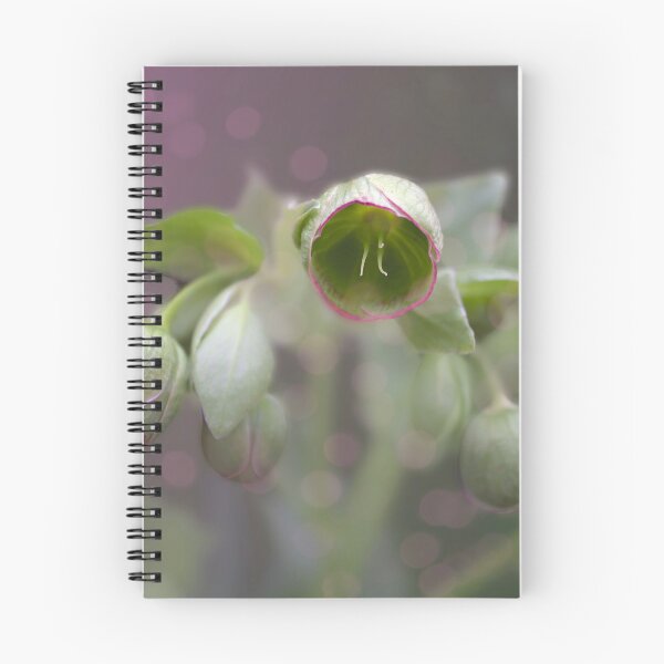 Item preview, Winter Beauty  designed and sold by Alisonchambers2.