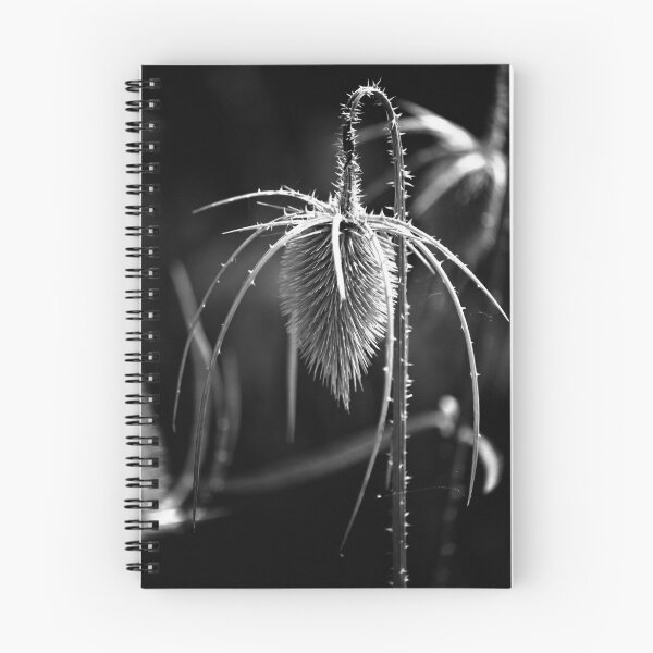 Item preview, Bowed Head (b&w)  designed and sold by photoclique.
