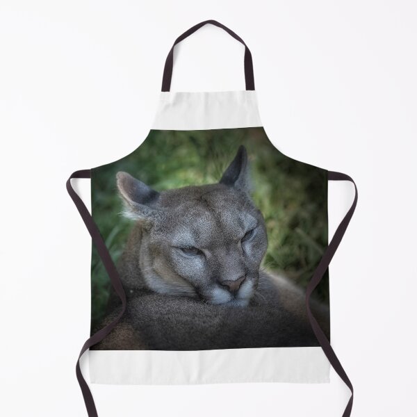 Item preview, Puma designed and sold by Roberto Pagani.