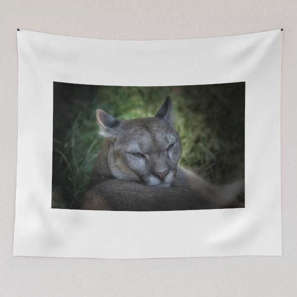 Item preview, Puma designed and sold by Roberto Pagani.