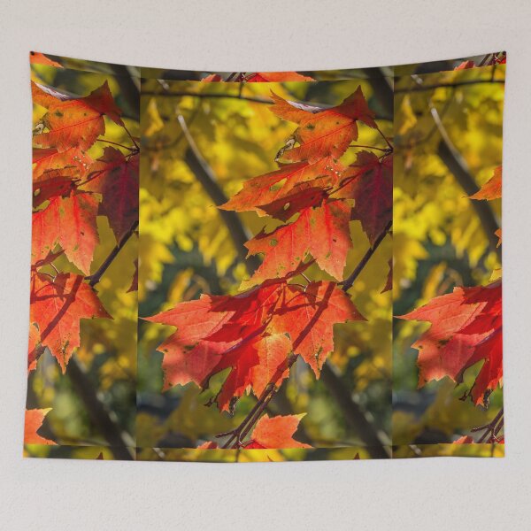 Item preview, Canadian Autumn designed and sold by Jola Martysz.
